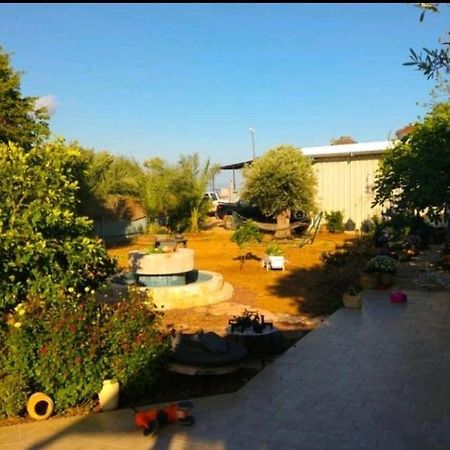 Апартаменты בחצר של טובה Hazon Экстерьер фото